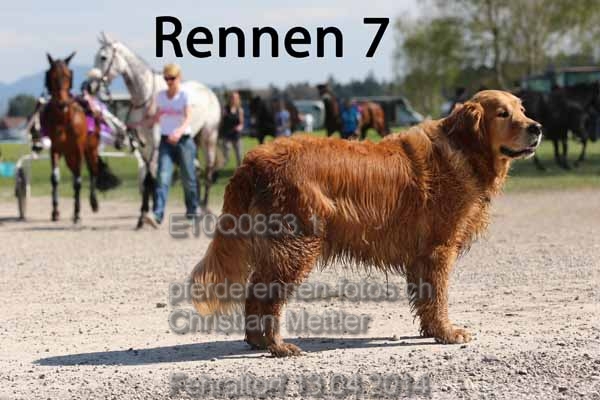ET0Q0853.1 prot